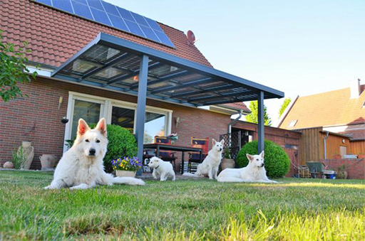 Terrassendach mit Solar Wartung